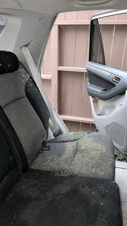 Xtreme Auto Detail The Mobile Detail Specialist work 8
